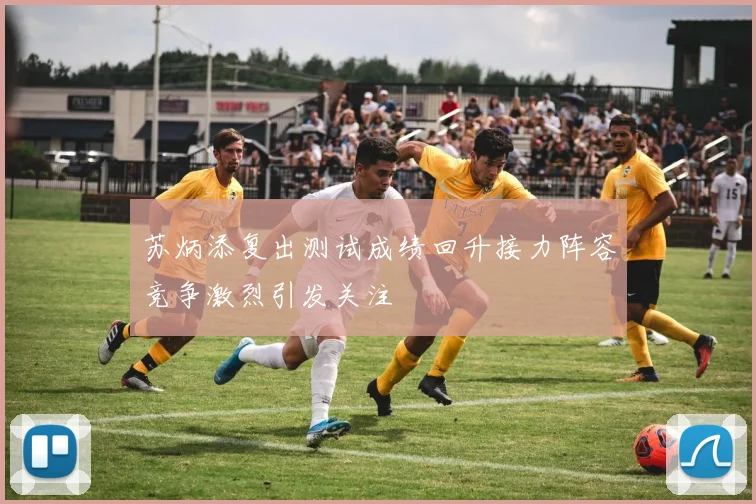 苏炳添复出测试成绩回升接力阵容竞争激烈引发关注